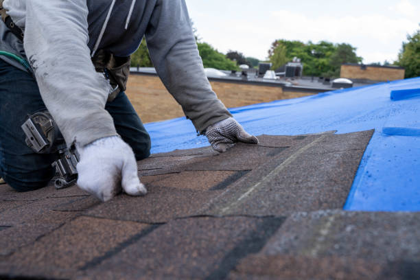 Best Roof Waterproofing Services  in Elmwood Place, OH