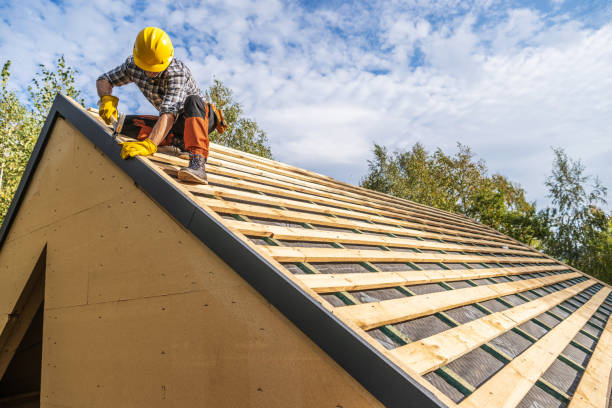 Best Roof Maintenance Services  in Elmwood Place, OH