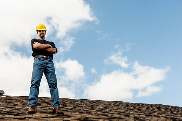 Best Roof Gutter Cleaning  in Elmwood Place, OH