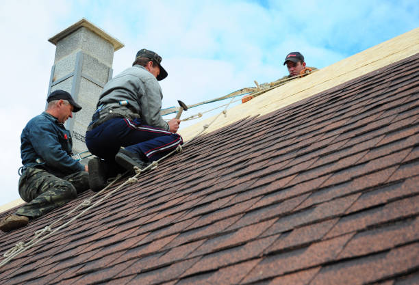 Best Gutter Installation and Roofing  in Elmwood Place, OH