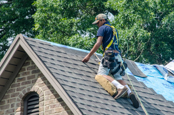 Best Emergency Roof Repair  in Elmwood Place, OH
